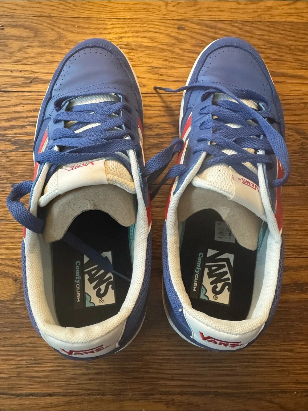 Vans Men’s Lowland CC Retro Sport Blue Red Skate Shoes Sneakers Size 13 US  Vans